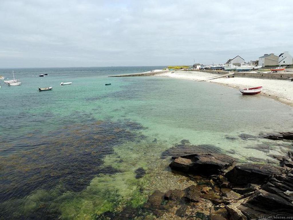 129 ILE DE MOLENE_000060.jpg